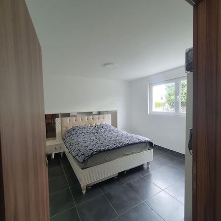 Bel Appartement Rez De Jardin Horbourg Экстерьер фото