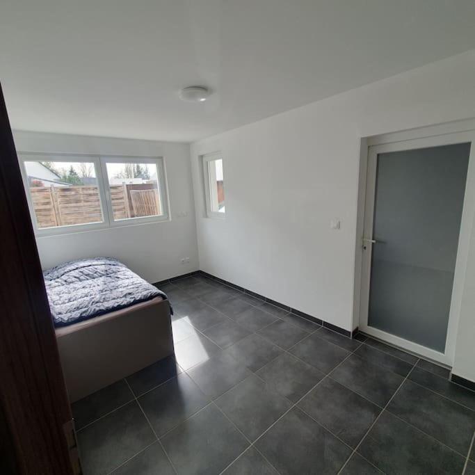Bel Appartement Rez De Jardin Horbourg Экстерьер фото